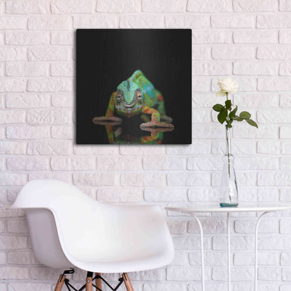 Luxe Metal Art 'Sneaky Cameleon' by Epic Portfolio Metal Wall Art,24x24