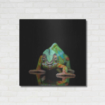 Luxe Metal Art 'Sneaky Cameleon' by Epic Portfolio Metal Wall Art,36x36