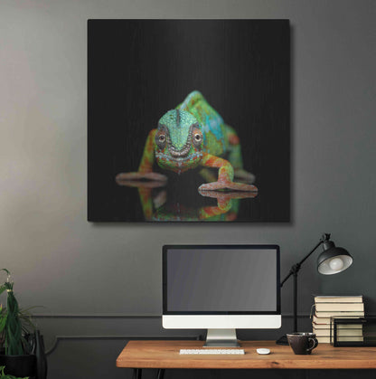 Luxe Metal Art 'Sneaky Cameleon' by Epic Portfolio Metal Wall Art,36x36