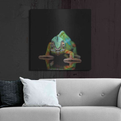 Luxe Metal Art 'Sneaky Cameleon' by Epic Portfolio Metal Wall Art,36x36