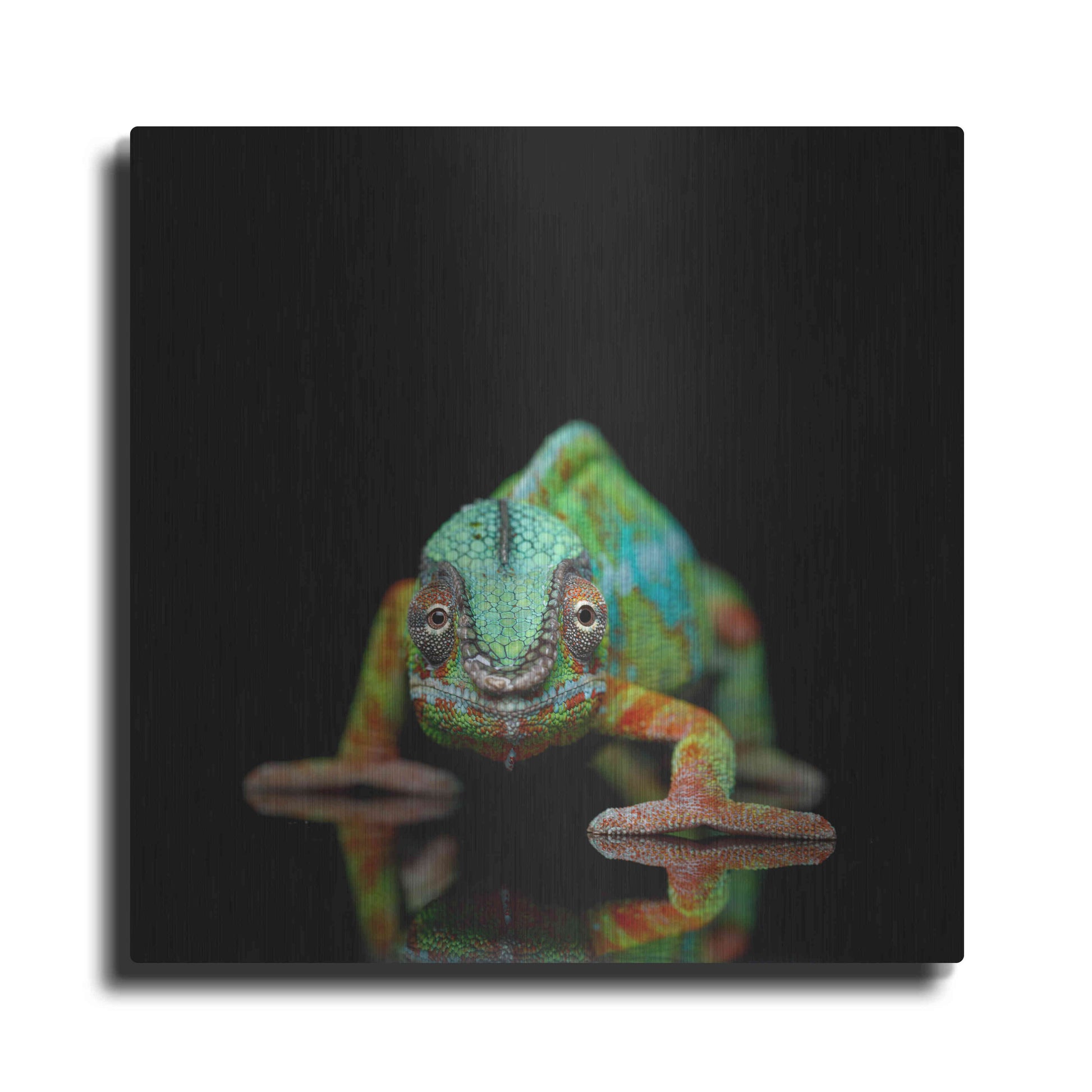Luxe Metal Art 'Sneaky Cameleon' by Epic Portfolio Metal Wall Art