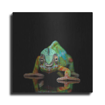 Luxe Metal Art 'Sneaky Cameleon' by Epic Portfolio Metal Wall Art