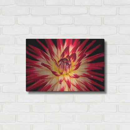 Luxe Metal Art 'Sunfire' by Epic Portfolio Metal Wall Art,24x16