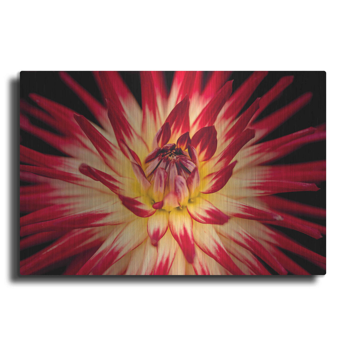 Luxe Metal Art 'Sunfire' by Epic Portfolio Metal Wall Art