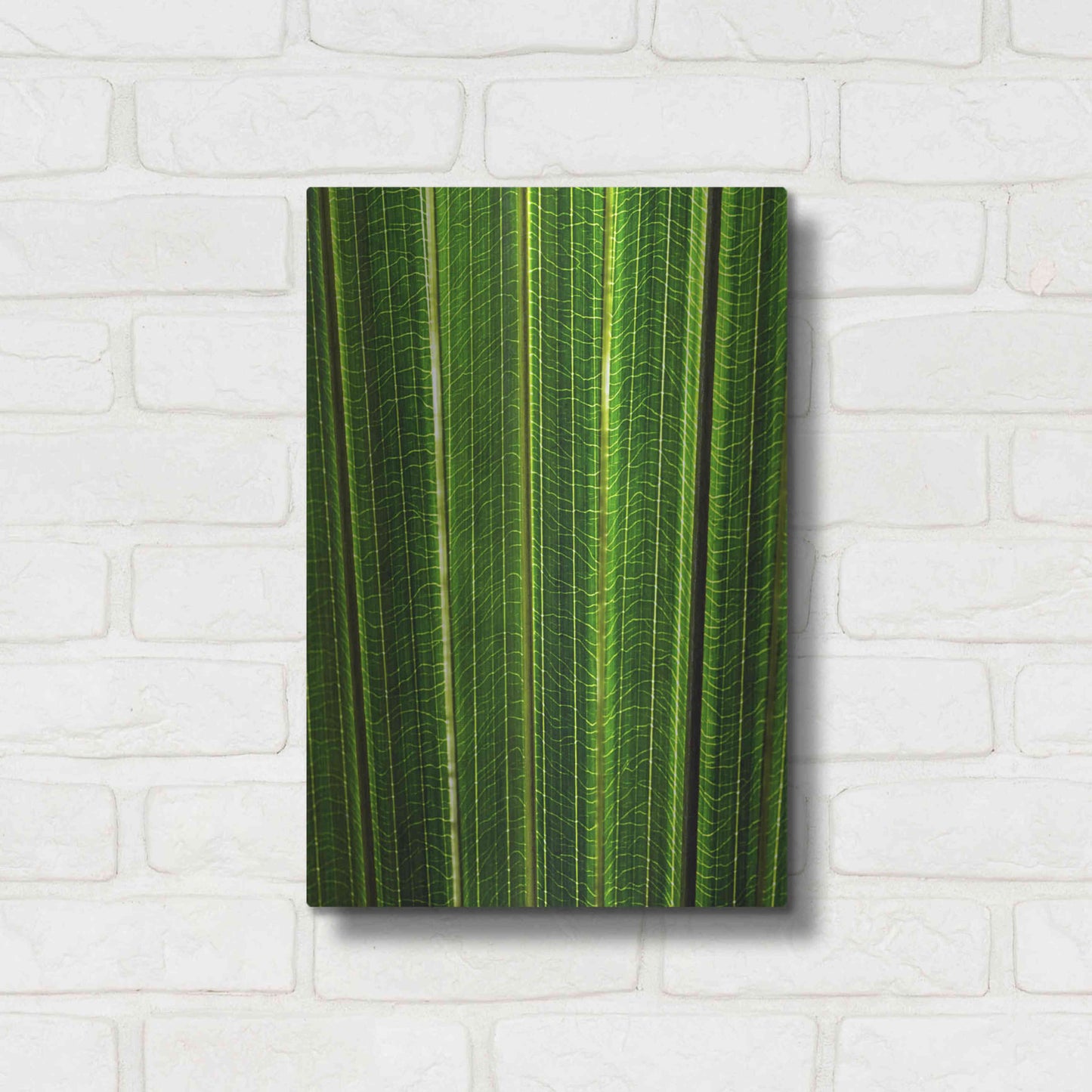 Luxe Metal Art 'The Great Green Wall' by Epic Portfolio Metal Wall Art,12x16