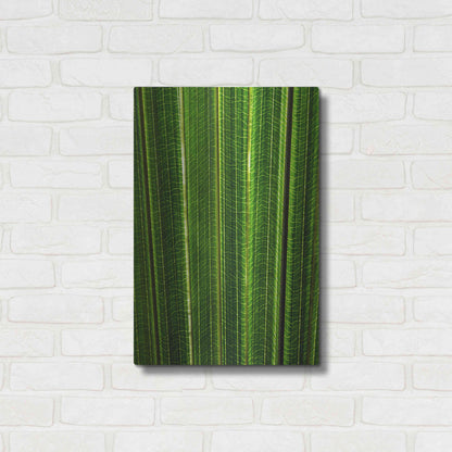 Luxe Metal Art 'The Great Green Wall' by Epic Portfolio Metal Wall Art,16x24