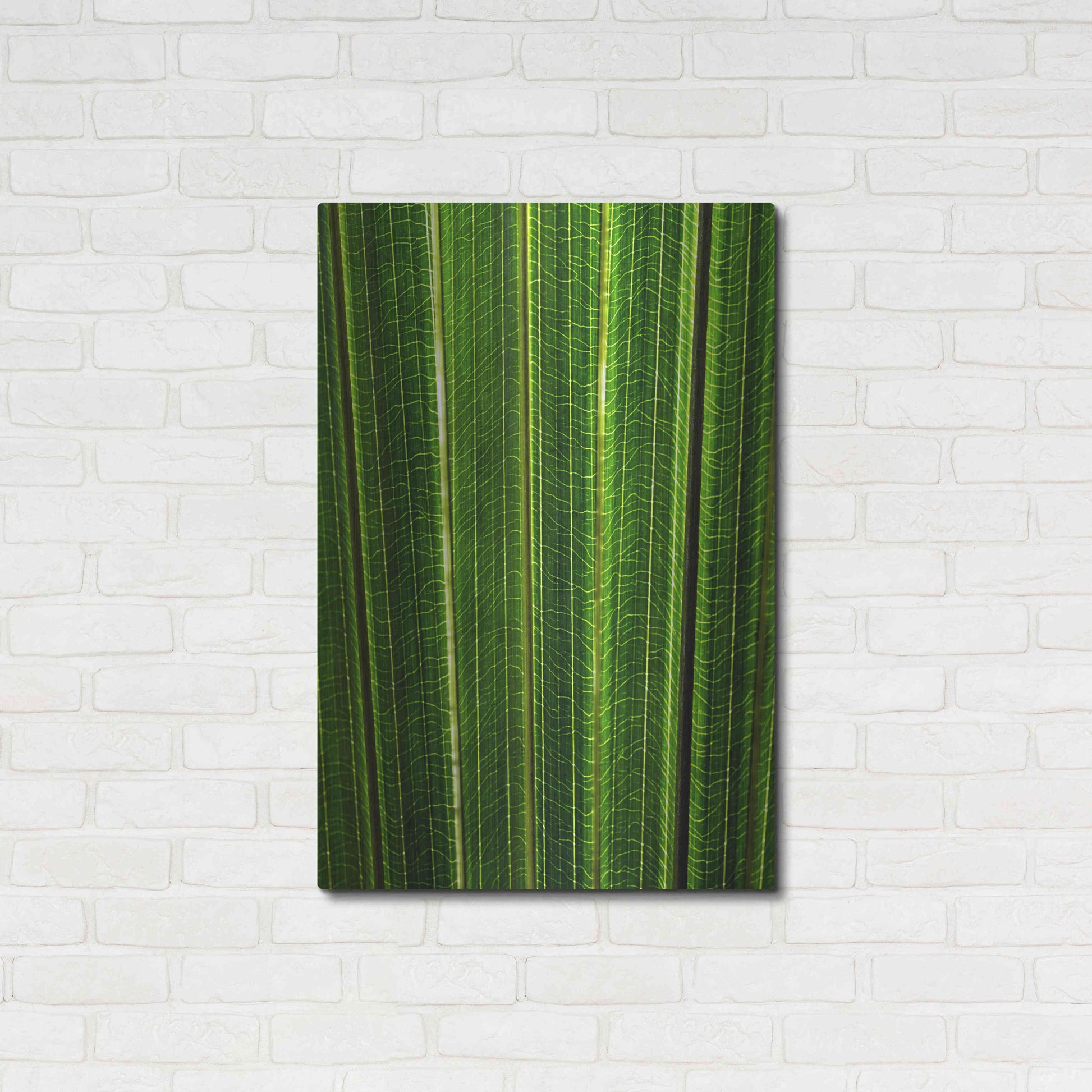 Luxe Metal Art 'The Great Green Wall' by Epic Portfolio Metal Wall Art,24x36