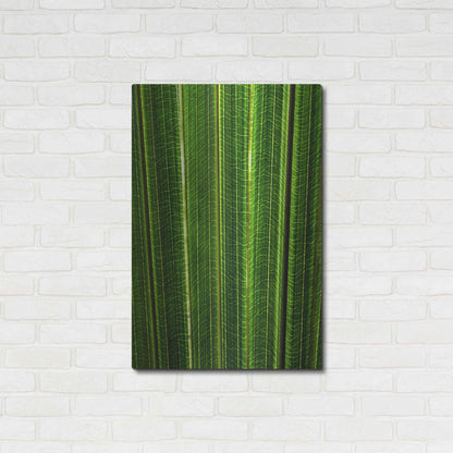 Luxe Metal Art 'The Great Green Wall' by Epic Portfolio Metal Wall Art,24x36