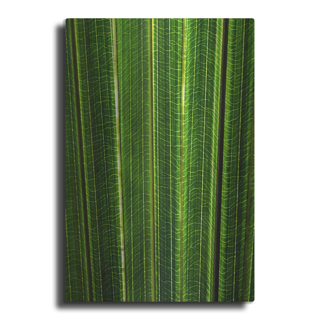 Luxe Metal Art 'The Great Green Wall' by Epic Portfolio Metal Wall Art