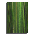 Luxe Metal Art 'The Great Green Wall' by Epic Portfolio Metal Wall Art