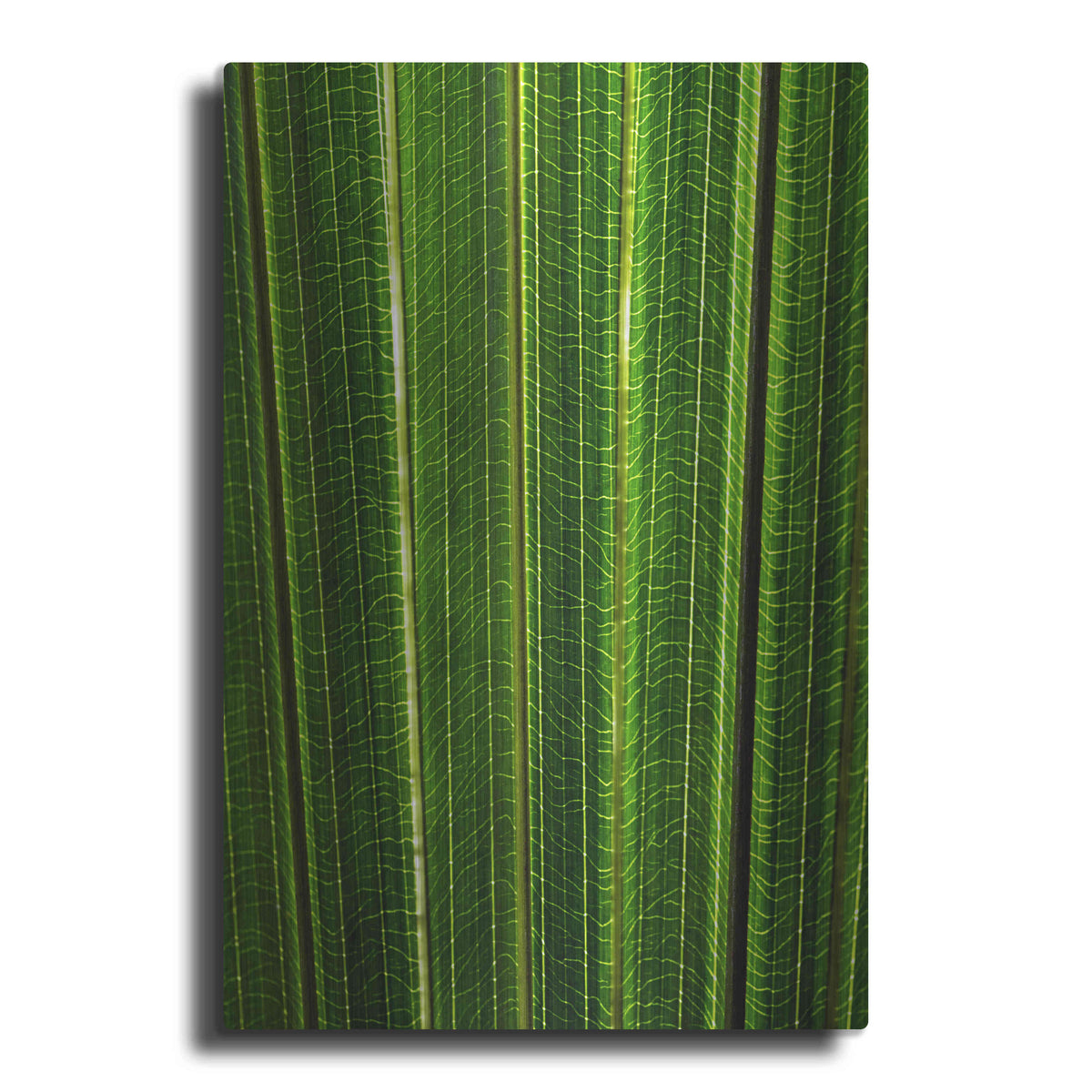 Luxe Metal Art 'The Great Green Wall' by Epic Portfolio Metal Wall Art