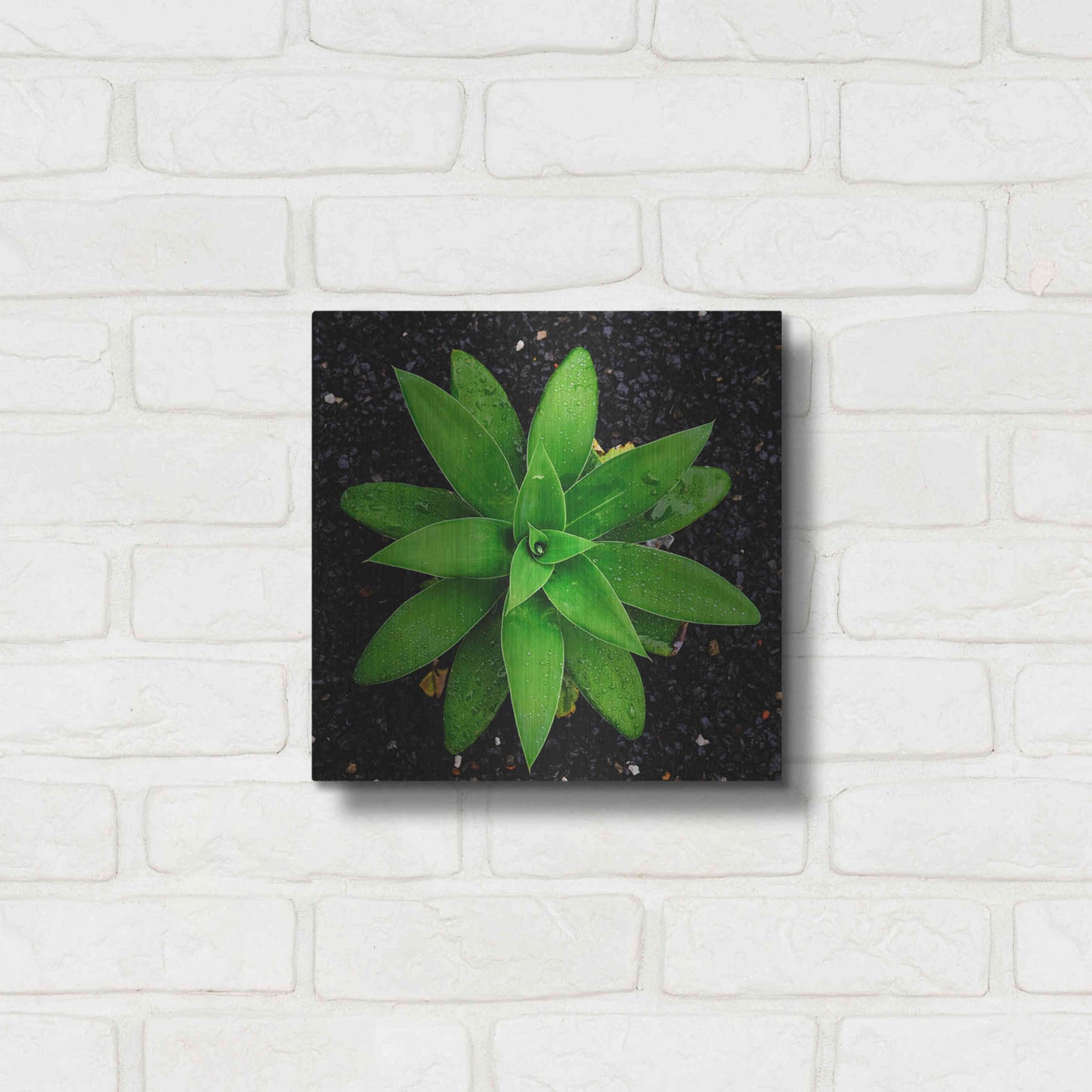 Luxe Metal Art 'The Green Bloom Crop' by Epic Portfolio Metal Wall Art,12x12