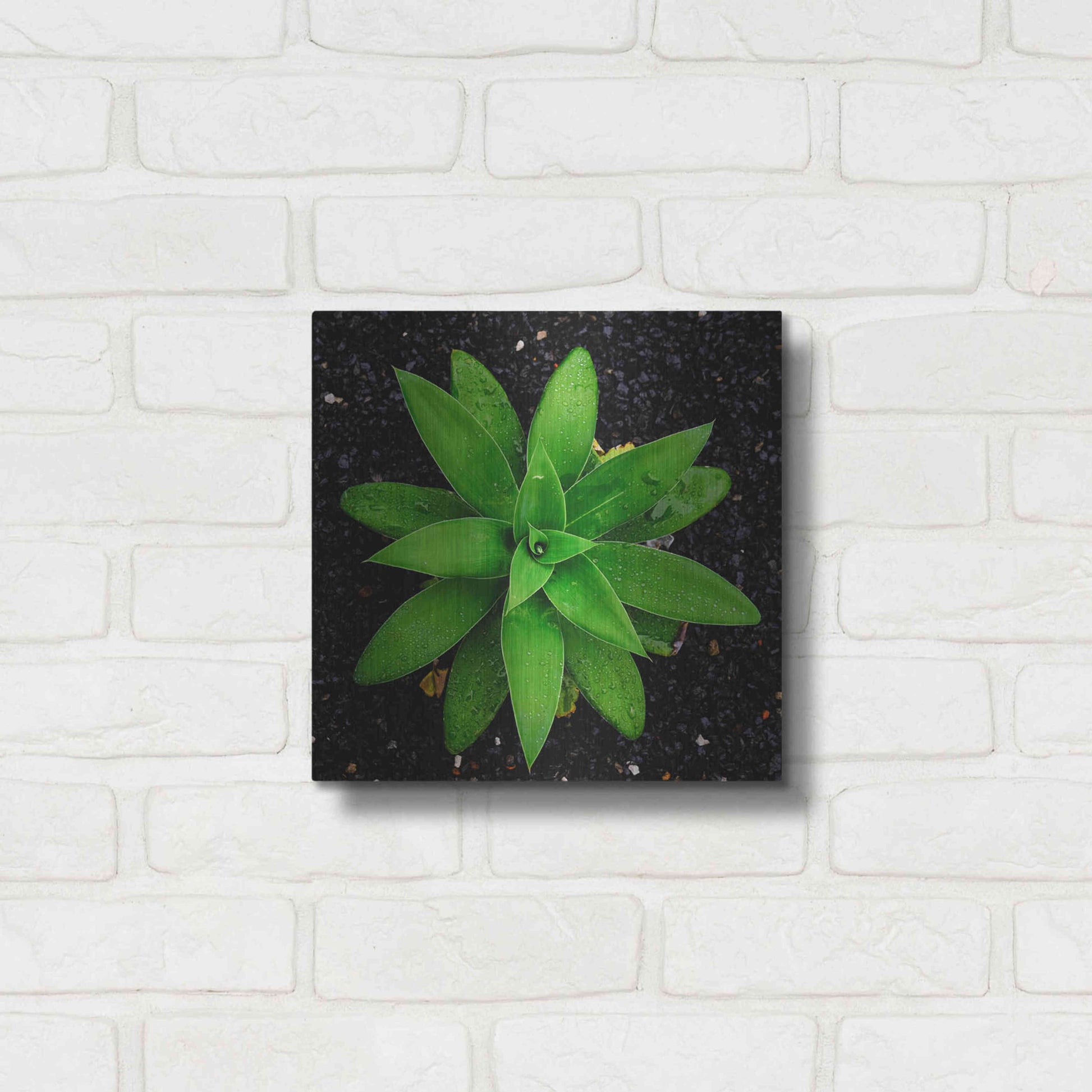 Luxe Metal Art 'The Green Bloom Crop' by Epic Portfolio Metal Wall Art,12x12