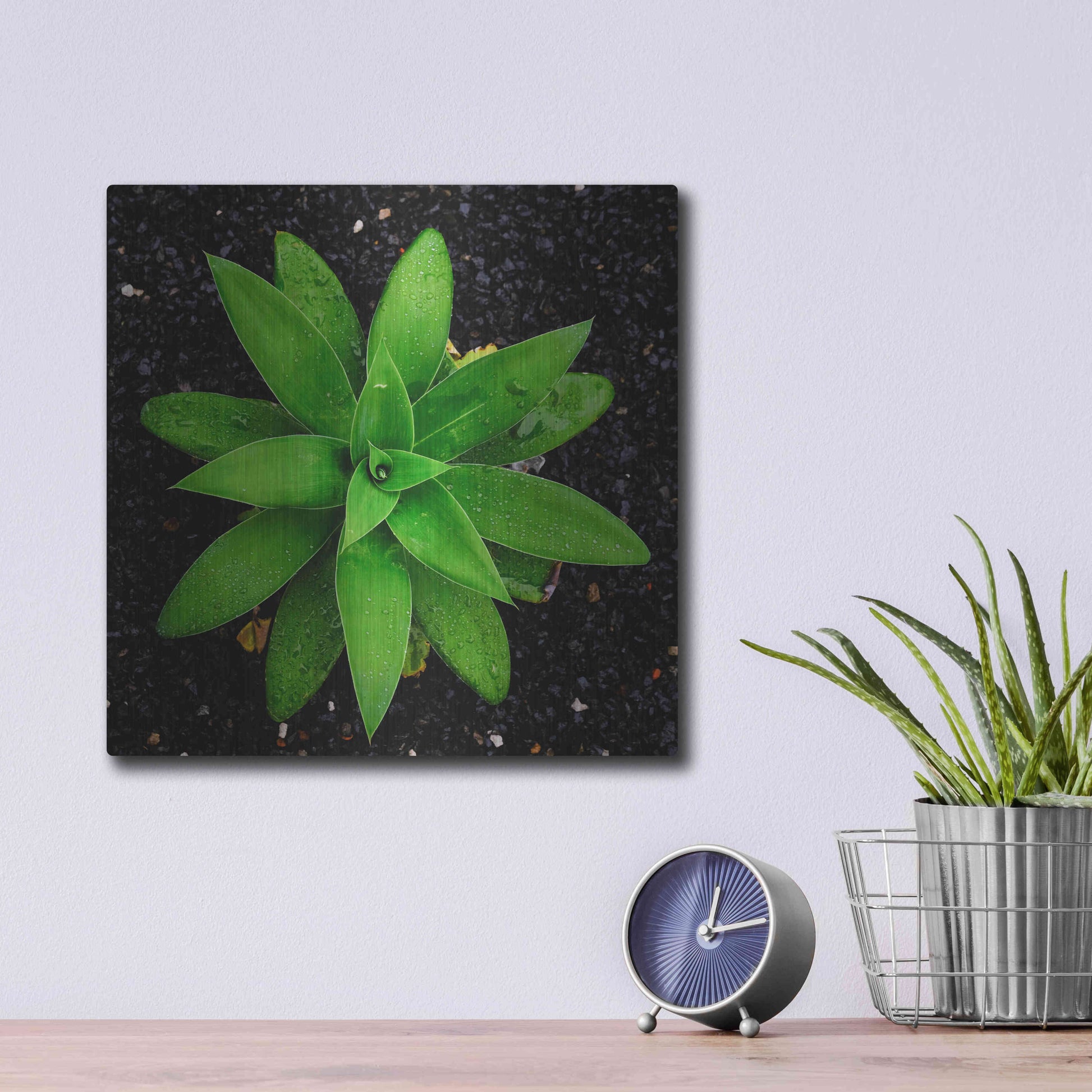 Luxe Metal Art 'The Green Bloom Crop' by Epic Portfolio Metal Wall Art,12x12