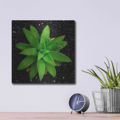 Luxe Metal Art 'The Green Bloom Crop' by Epic Portfolio Metal Wall Art,12x12