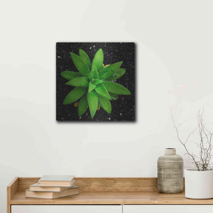 Luxe Metal Art 'The Green Bloom Crop' by Epic Portfolio Metal Wall Art,12x12
