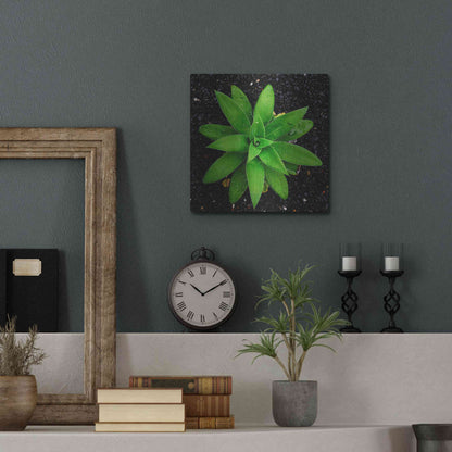 Luxe Metal Art 'The Green Bloom Crop' by Epic Portfolio Metal Wall Art,12x12