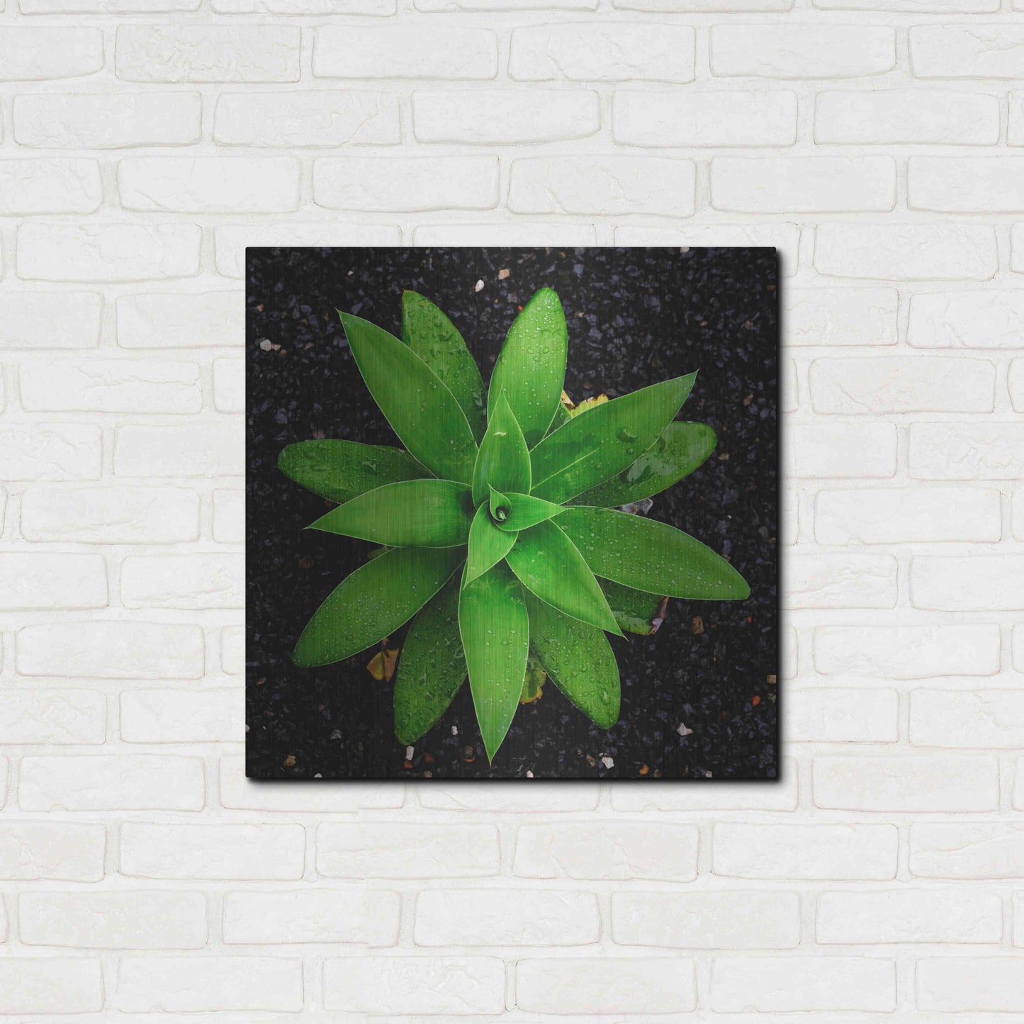 Luxe Metal Art 'The Green Bloom Crop' by Epic Portfolio Metal Wall Art,24x24