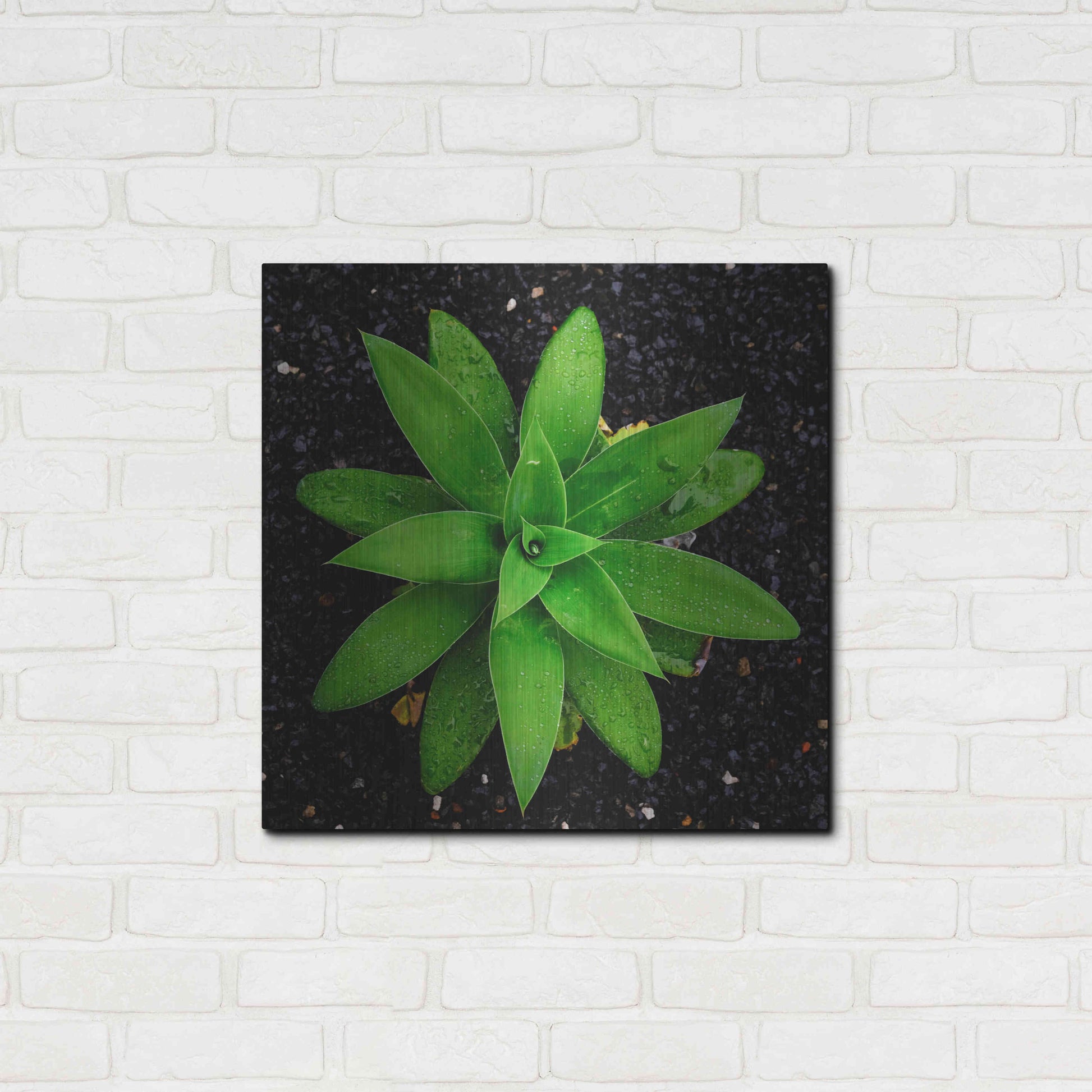 Luxe Metal Art 'The Green Bloom Crop' by Epic Portfolio Metal Wall Art,24x24