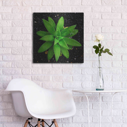 Luxe Metal Art 'The Green Bloom Crop' by Epic Portfolio Metal Wall Art,24x24