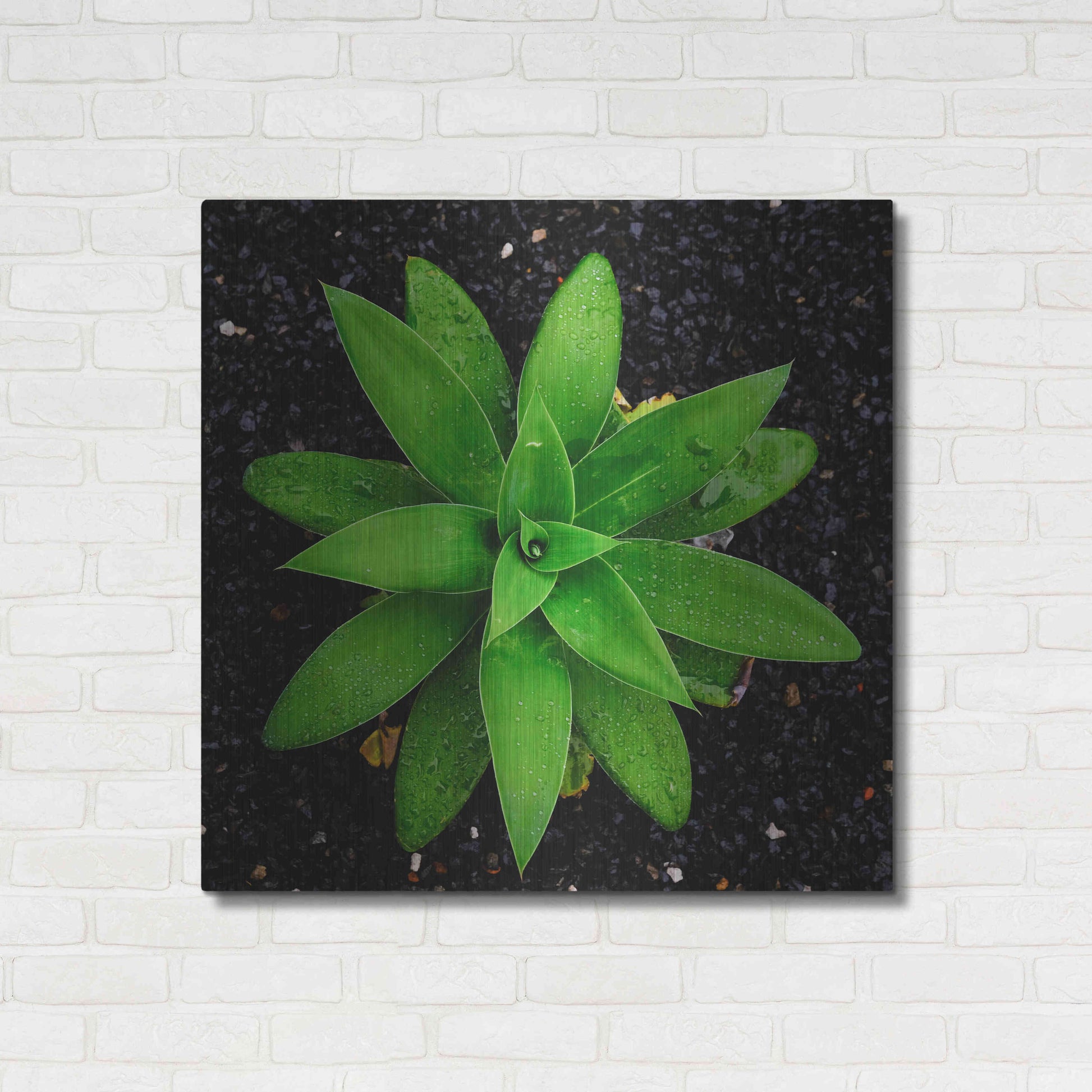 Luxe Metal Art 'The Green Bloom Crop' by Epic Portfolio Metal Wall Art,36x36