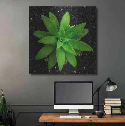 Luxe Metal Art 'The Green Bloom Crop' by Epic Portfolio Metal Wall Art,36x36