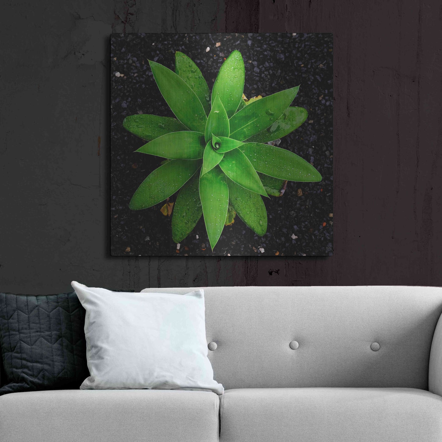 Luxe Metal Art 'The Green Bloom Crop' by Epic Portfolio Metal Wall Art,36x36