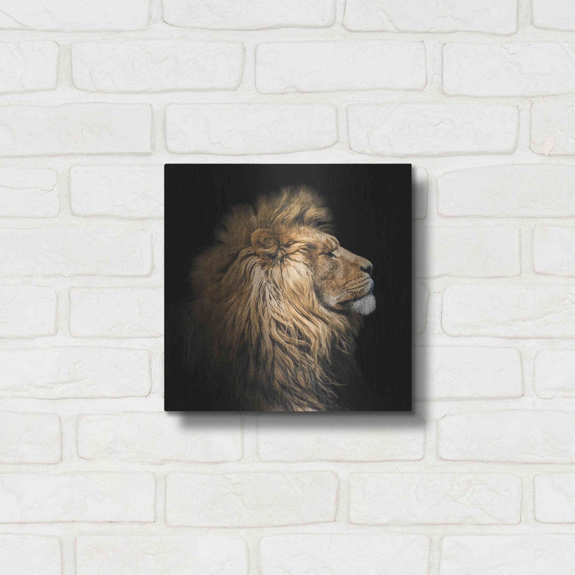 Luxe Metal Art 'The King Of The Jungle' by Epic Portfolio Metal Wall Art,12x12
