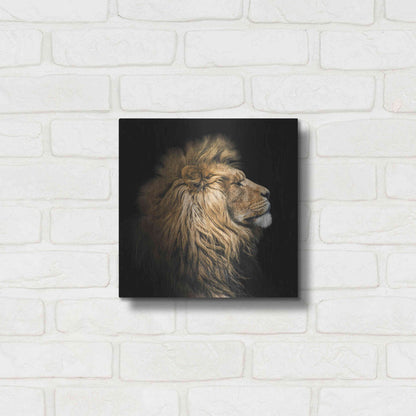 Luxe Metal Art 'The King Of The Jungle' by Epic Portfolio Metal Wall Art,12x12