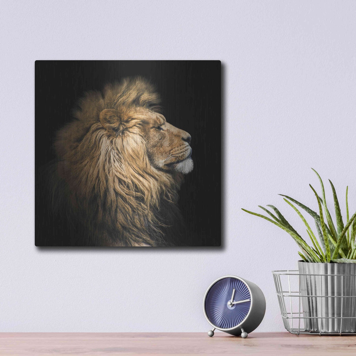 Luxe Metal Art 'The King Of The Jungle' by Epic Portfolio Metal Wall Art,12x12