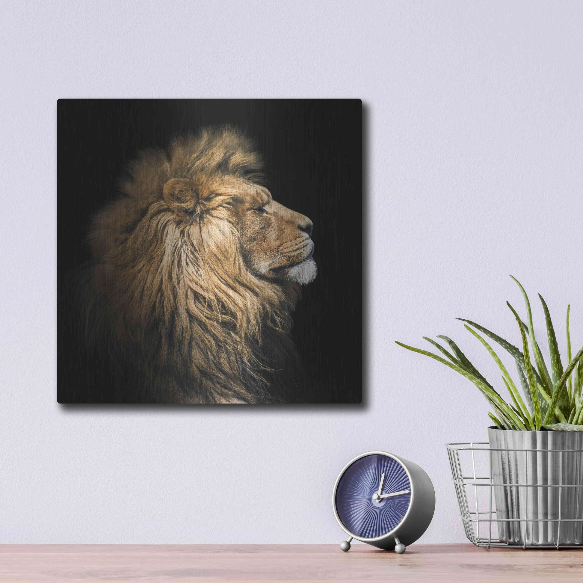 Luxe Metal Art 'The King Of The Jungle' by Epic Portfolio Metal Wall Art,12x12