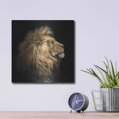 Luxe Metal Art 'The King Of The Jungle' by Epic Portfolio Metal Wall Art,12x12