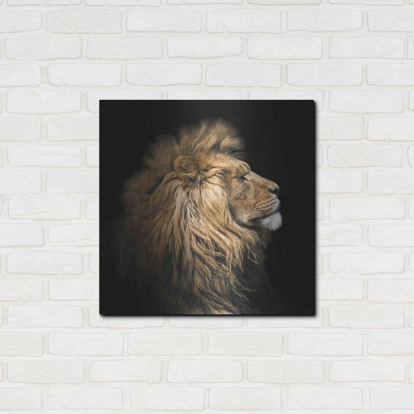Luxe Metal Art 'The King Of The Jungle' by Epic Portfolio Metal Wall Art,24x24