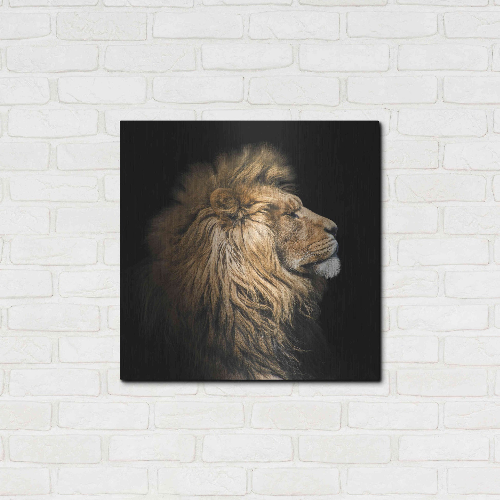 Luxe Metal Art 'The King Of The Jungle' by Epic Portfolio Metal Wall Art,24x24