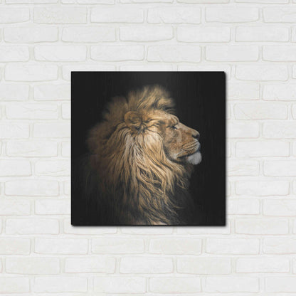 Luxe Metal Art 'The King Of The Jungle' by Epic Portfolio Metal Wall Art,24x24