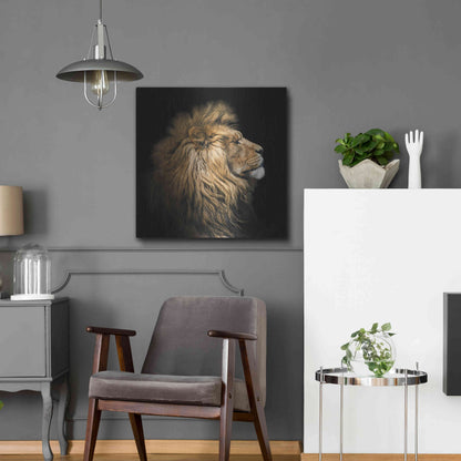 Luxe Metal Art 'The King Of The Jungle' by Epic Portfolio Metal Wall Art,24x24