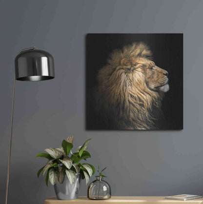 Luxe Metal Art 'The King Of The Jungle' by Epic Portfolio Metal Wall Art,24x24