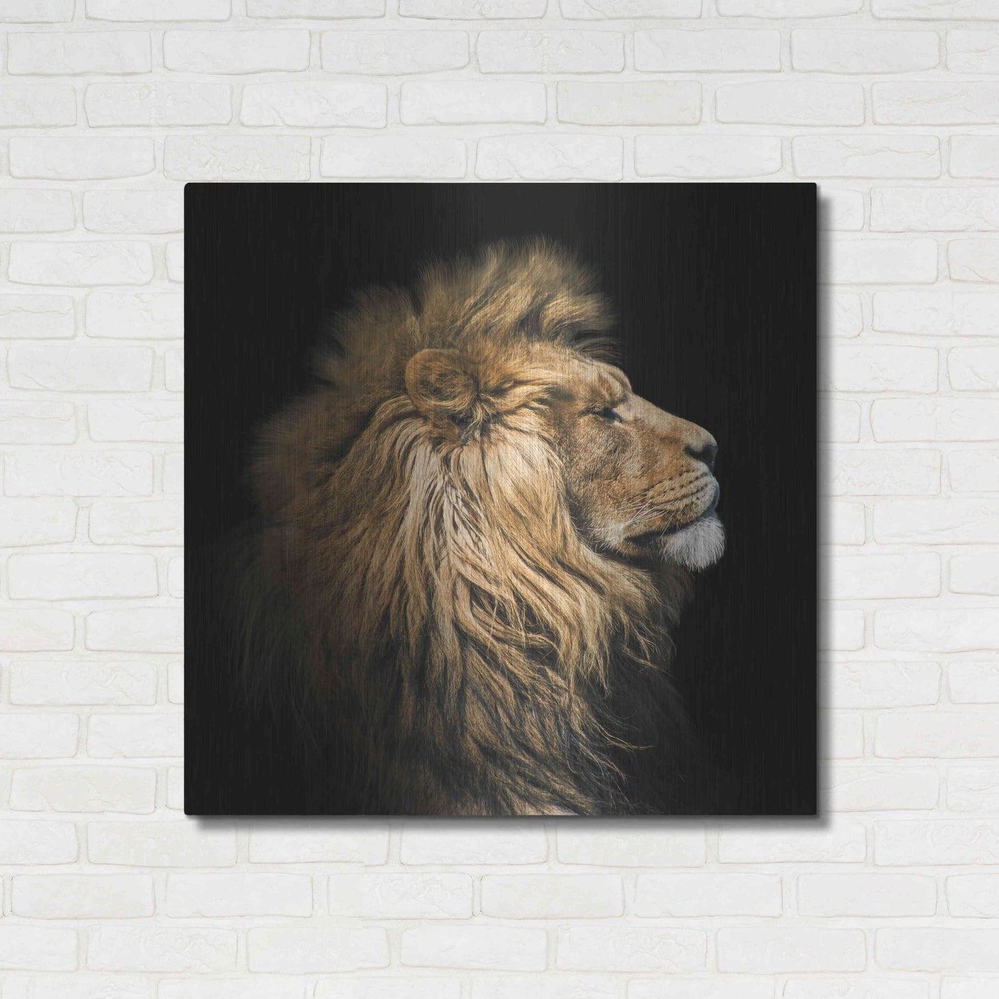 Luxe Metal Art 'The King Of The Jungle' by Epic Portfolio Metal Wall Art,36x36