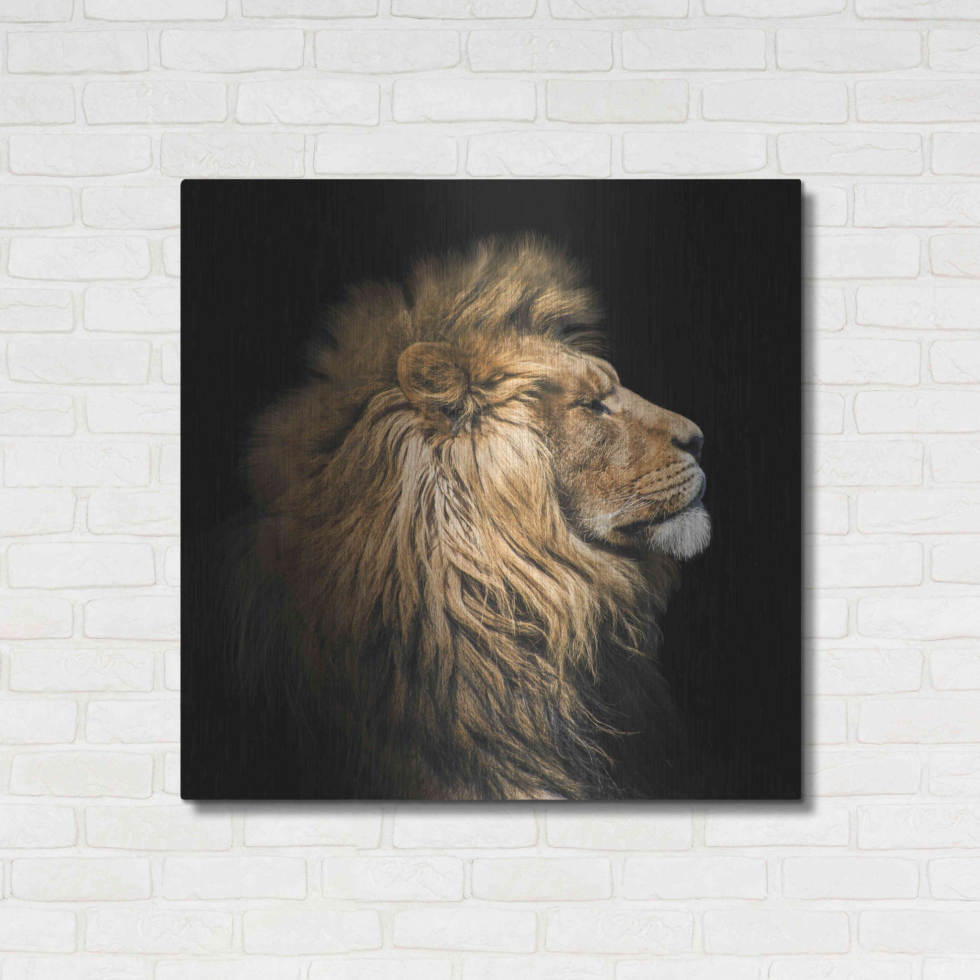 Luxe Metal Art 'The King Of The Jungle' by Epic Portfolio Metal Wall Art,36x36
