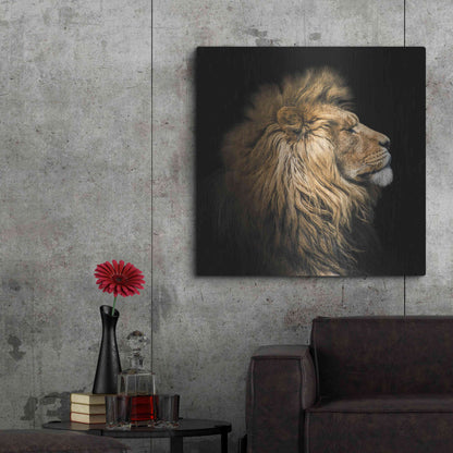Luxe Metal Art 'The King Of The Jungle' by Epic Portfolio Metal Wall Art,36x36