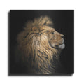 Luxe Metal Art 'The King Of The Jungle' by Epic Portfolio Metal Wall Art