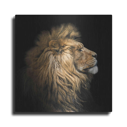 Luxe Metal Art 'The King Of The Jungle' by Epic Portfolio Metal Wall Art