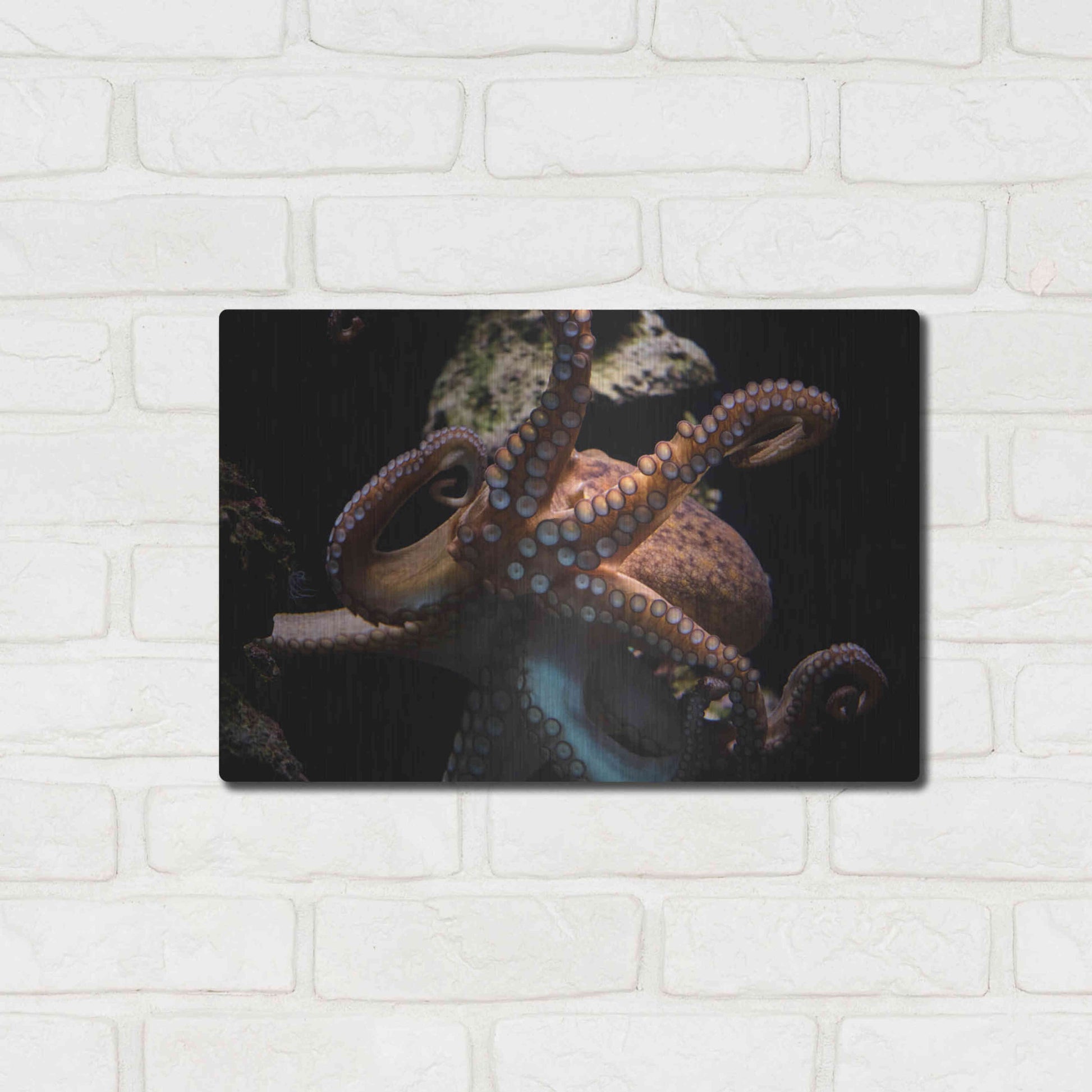 Luxe Metal Art 'The Kraken' by Epic Portfolio Metal Wall Art,16x12