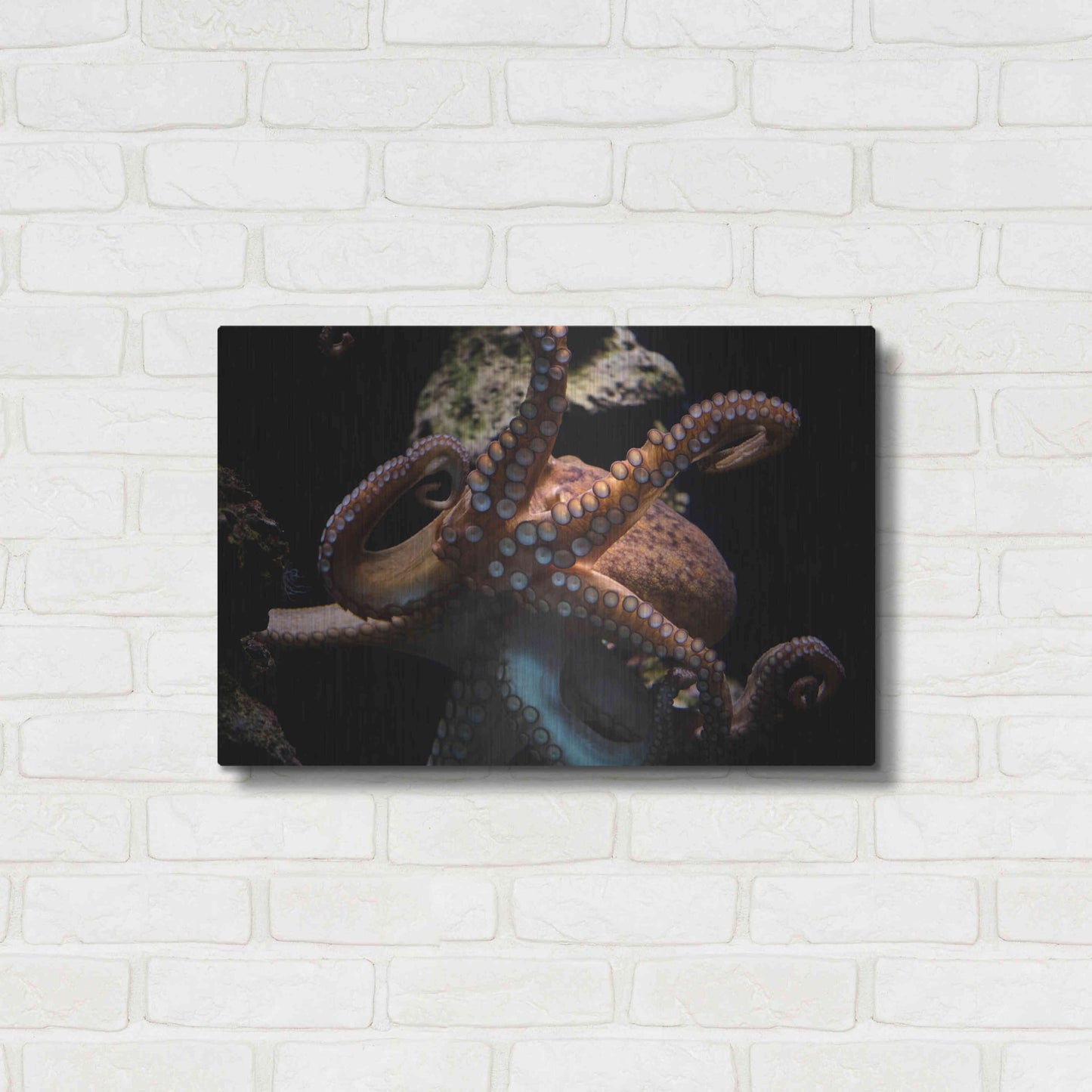 Luxe Metal Art 'The Kraken' by Epic Portfolio Metal Wall Art,24x16
