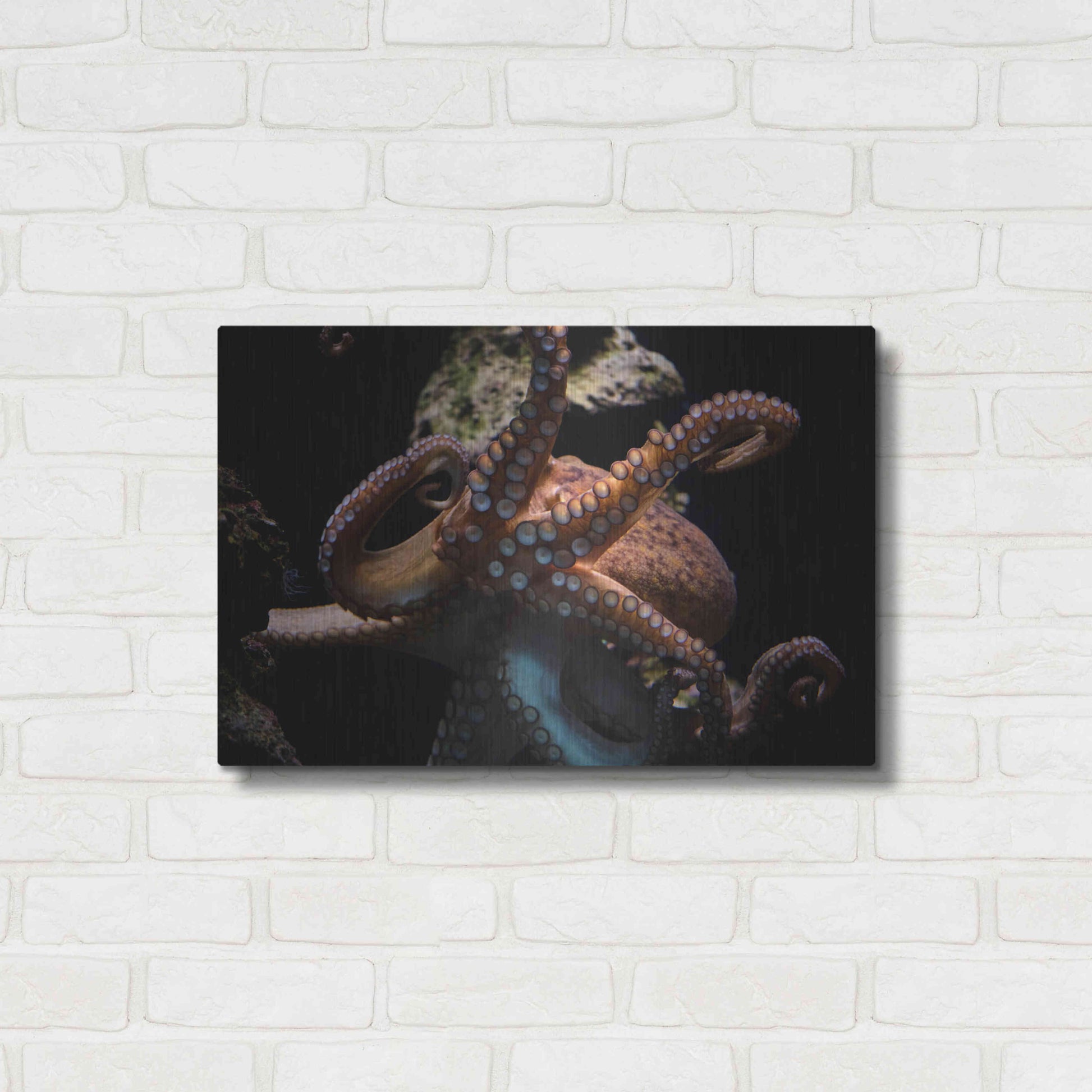 Luxe Metal Art 'The Kraken' by Epic Portfolio Metal Wall Art,24x16