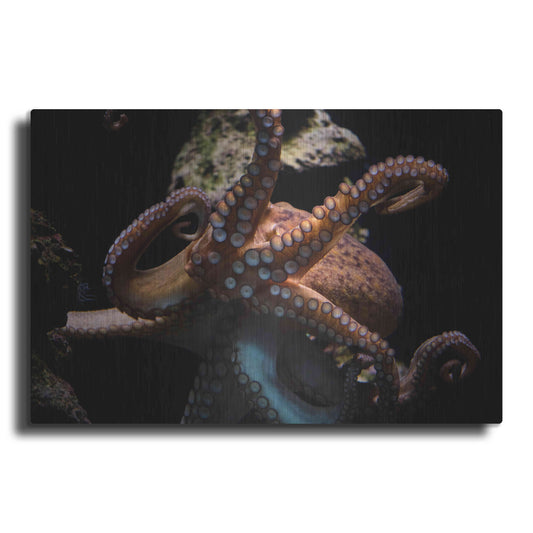 Luxe Metal Art 'The Kraken' by Epic Portfolio Metal Wall Art