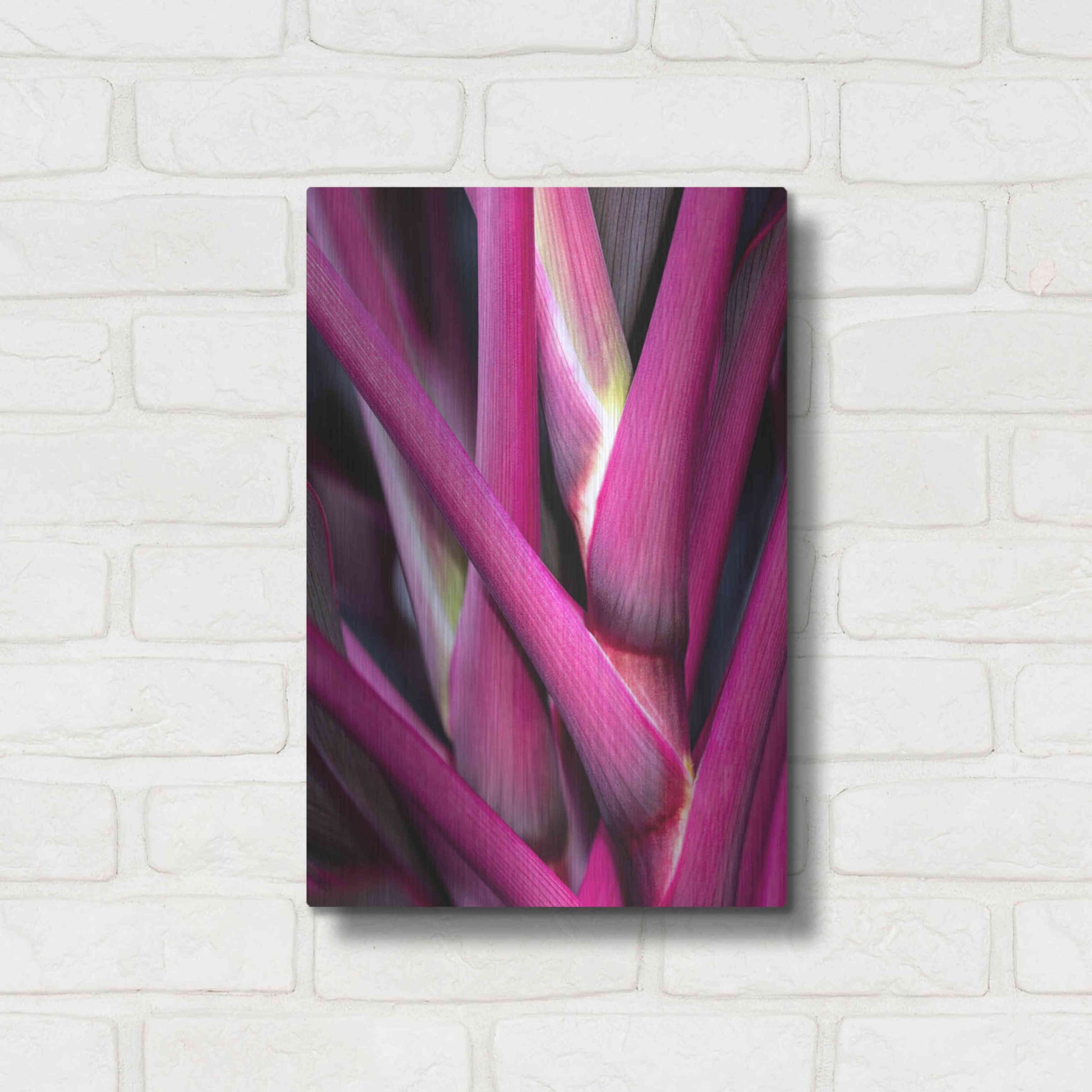 Luxe Metal Art 'The Pink Guardsman' by Epic Portfolio Metal Wall Art,12x16