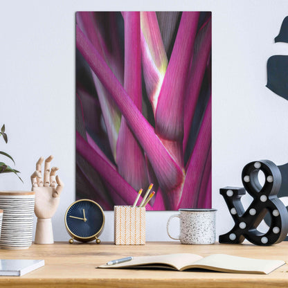 Luxe Metal Art 'The Pink Guardsman' by Epic Portfolio Metal Wall Art,12x16