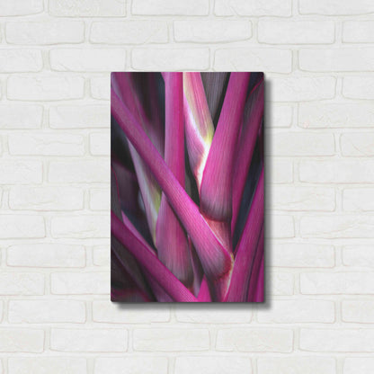 Luxe Metal Art 'The Pink Guardsman' by Epic Portfolio Metal Wall Art,16x24