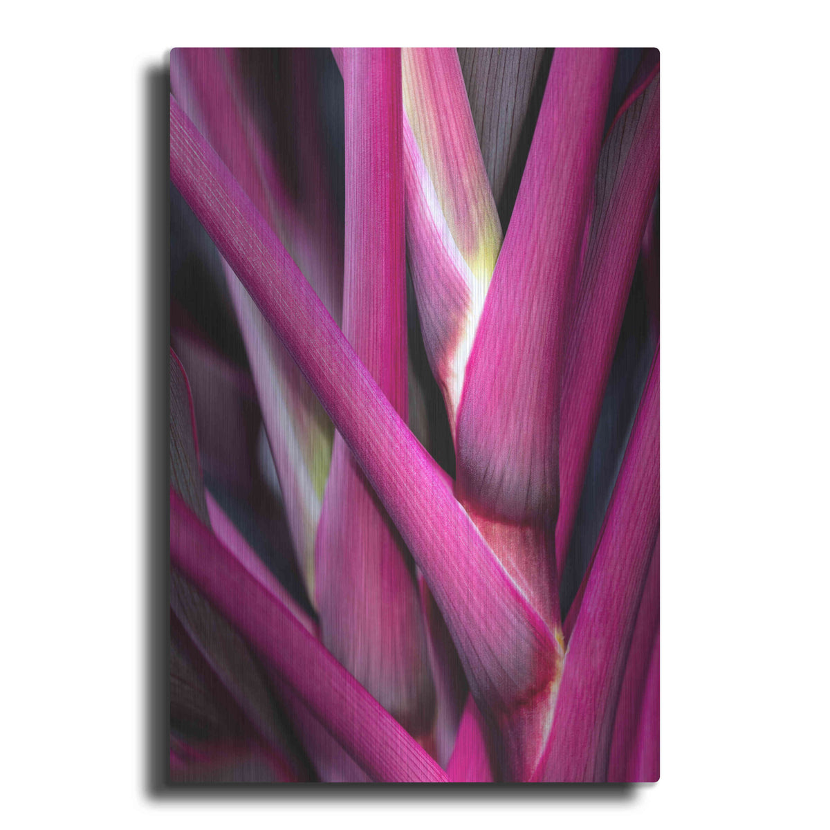 Luxe Metal Art 'The Pink Guardsman' by Epic Portfolio Metal Wall Art